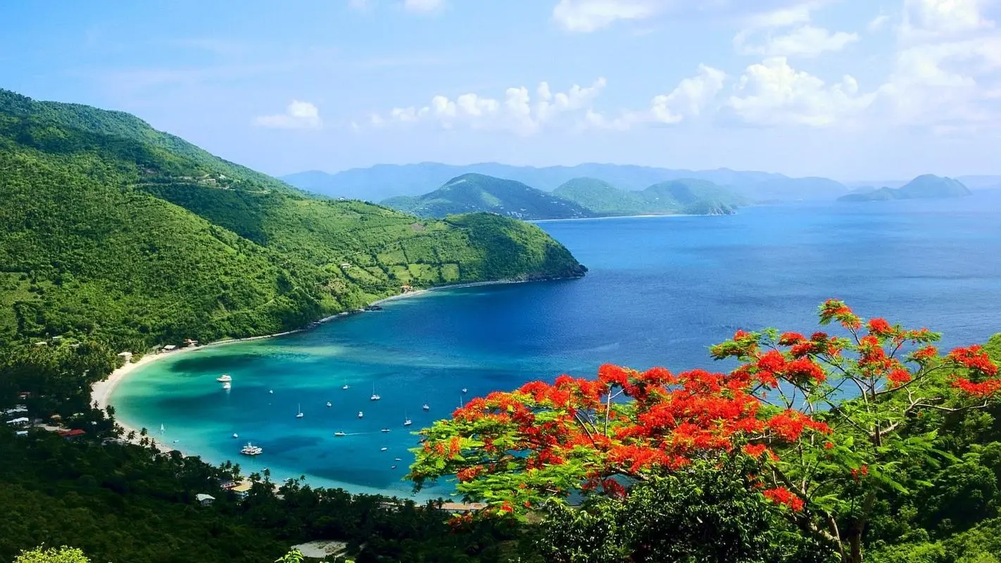 高端高效高效